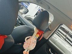 -大黄蜂汽车贴膜隐形车衣3M黑钻臻选(007店)