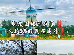 -荷兰花海