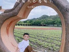 -丹樱生态园