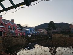 -茅山肴·道家菜·神仙鸡