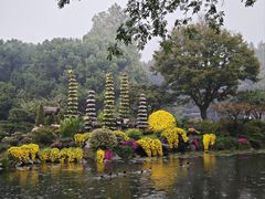 -山外山菜馆(玉泉路店)