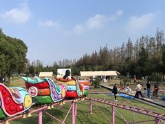 -前小桔亲子创意农场·草莓采摘·露营烧烤