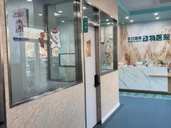 -东日国际动物医院·CT·心脏专科(桃源分院)