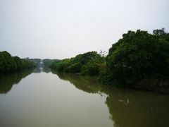 -大湾区中央湿地公园
