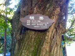 -兴福老面馆(寺路街店)