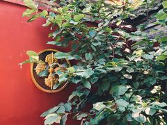 -西安市广仁寺