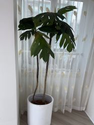 -HEYAN荷妍专业脱毛连锁机构