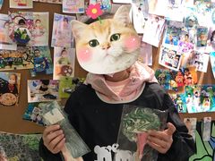 -尼莫儿童美术(三阳路融科天城校区)