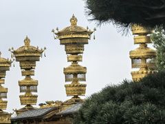 -庐山风景名胜区-东林大佛