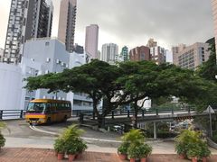 -香港大学