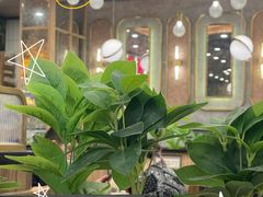 -龙城冰室(旺角)