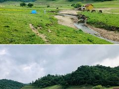 -关山草原