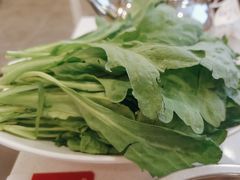 -蝎王府羊蝎子(北大地店)