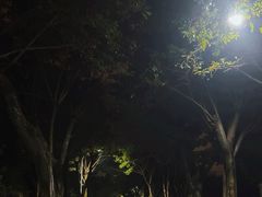 -西南政法大学(沙坪坝校区)