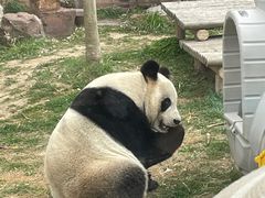 -苏州太湖国家湿地公园