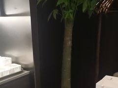 -大拙里·精致融合菜(沙湖桃源国际店)