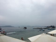 -珊瑚岛