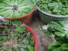 -兰陵农贸市场(新世界花苑店)
