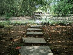 -八大山人梅湖景区