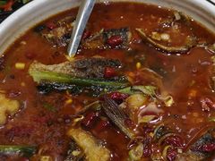 -尕盼舍餐饮新疆名菜(河北东路店)