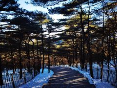 -黄山风景区