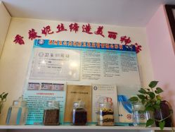 -香薇妮丝·定制减肥·身材管理