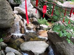 -洛阳白云山景区