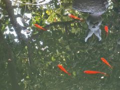 -谷咖啡·鲜花绿植花园餐厅