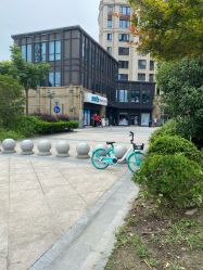 -睿宝儿科·眼科·口腔(杨浦新江湾城店)