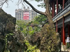 -顺峰山公园
