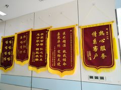 -中农国际动物医院24小时·猫科·骨科·急重症中心