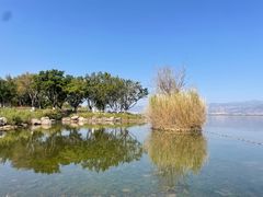 -西昌邛海湿地