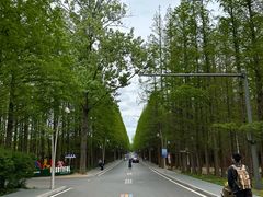 -日照海滨国家森林公园