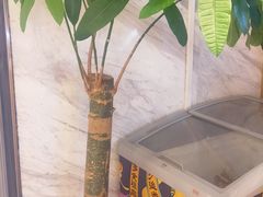 -南锣南门(东方银座店)