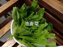 -南门四季铜锅涮肉(左家庄店)