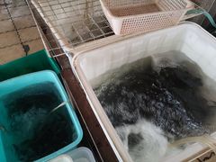 -金海椒罐罐鲢鱼(东方桂苑店)