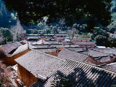 -杨家堂村