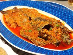 -大浪潮·潮汕菜·招牌生腌小青龙(福田店)
