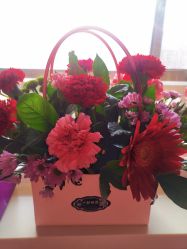 -安悦国际母婴中心(月子会所)