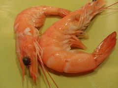 android_upload_pic-马哥孛罗咖啡厅·Cafe Marco (厦门马哥孛罗东方大酒店)