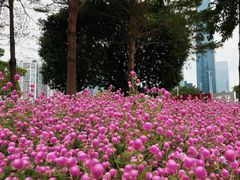 -二沙岛艺术公园