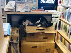 -猫的天空之城概念书店(苏州平江店)