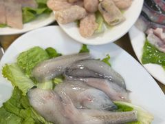 -金砂阿洲鱼册店