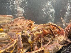 -蒋记海鲜姿造•洋房别墅(星河湾店)