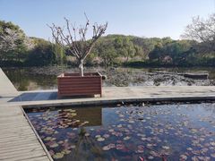 -白马涧龙池景区