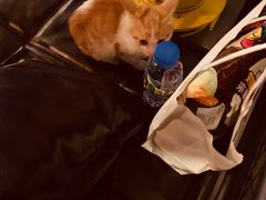 -后院儿·精酿·塔罗Happy Bar