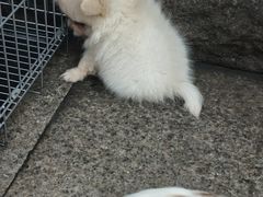 -观音桥步行街