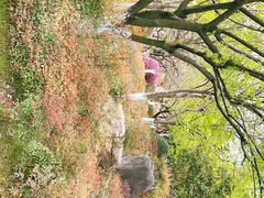 -昆山城市公园