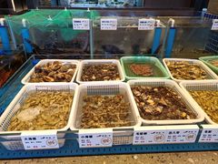 水产区-船歌·鱼水饺青岛菜(闽江二路店)