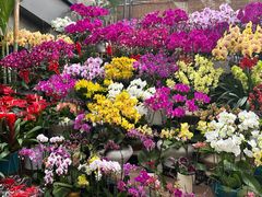 -肯德基(西稍门店)